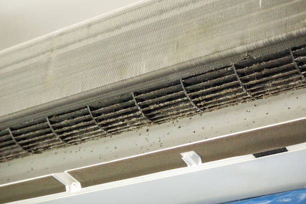 Best Air Duct Sanitization & Disinfection in Live Oak, CA